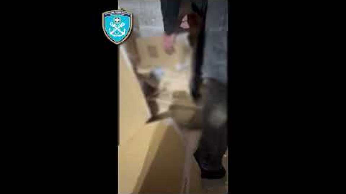 Εντοπισμός και κατάσχεση ναρκωτικής ουσίας ακατέργαστης κάνναβης υδροπονικής καλλιέργειας (Skunk)