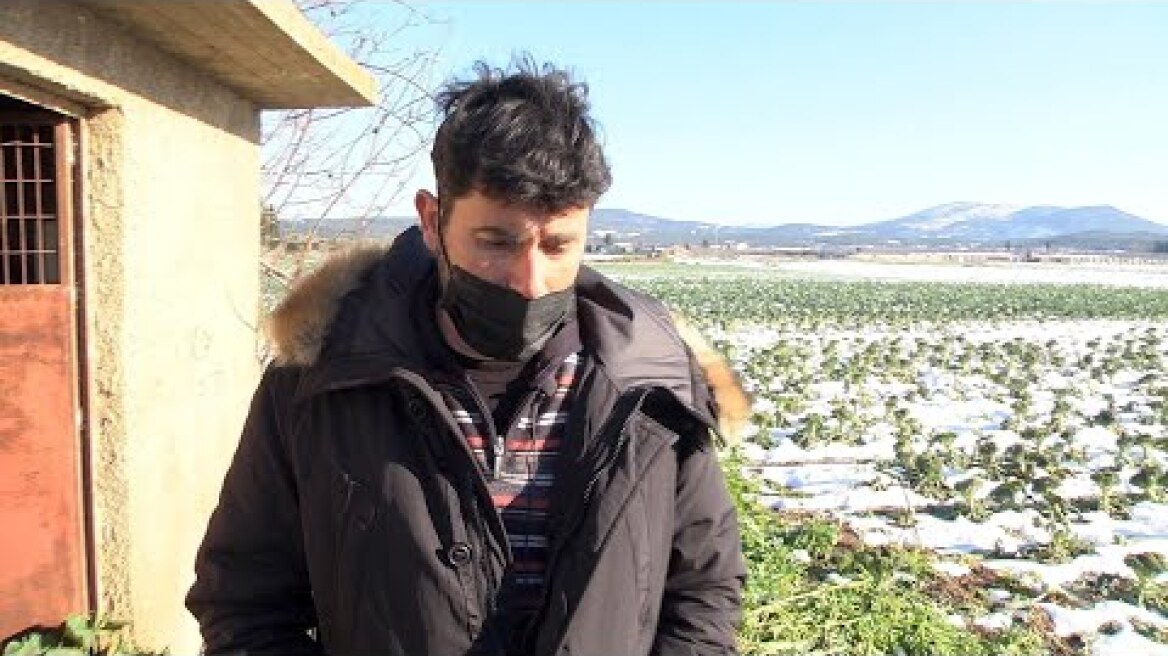 «ΑΥΤΟΙ ΠΟΥ ΕΣΤΗΣΑΝ ΤΟ ΣΚΗΝΙΚΟ ΗΤΑΝ ΚΑΛΟΙ ΣΚΗΝΟΘΕΤΕΣ…»