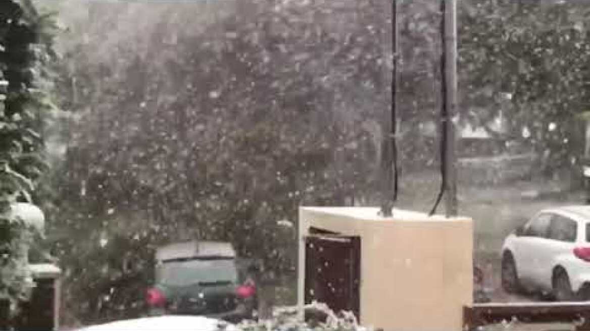 getfvid 10000000 190131968726686 1355978014102034879 n