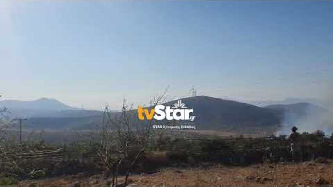 Μεγάλη φωτιά στον Πρόδρομο Βοιωτίας