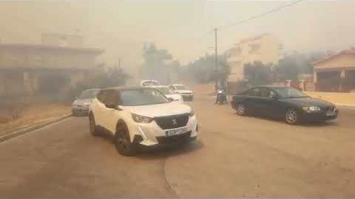 Φωτιά στην Φυλή: Εκκενώνουν τα σπίτια (2)