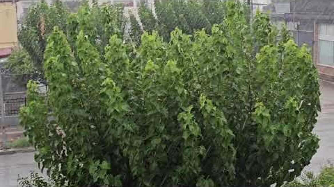 Ποτάμια οι δρόμοι στα Τρίκαλα