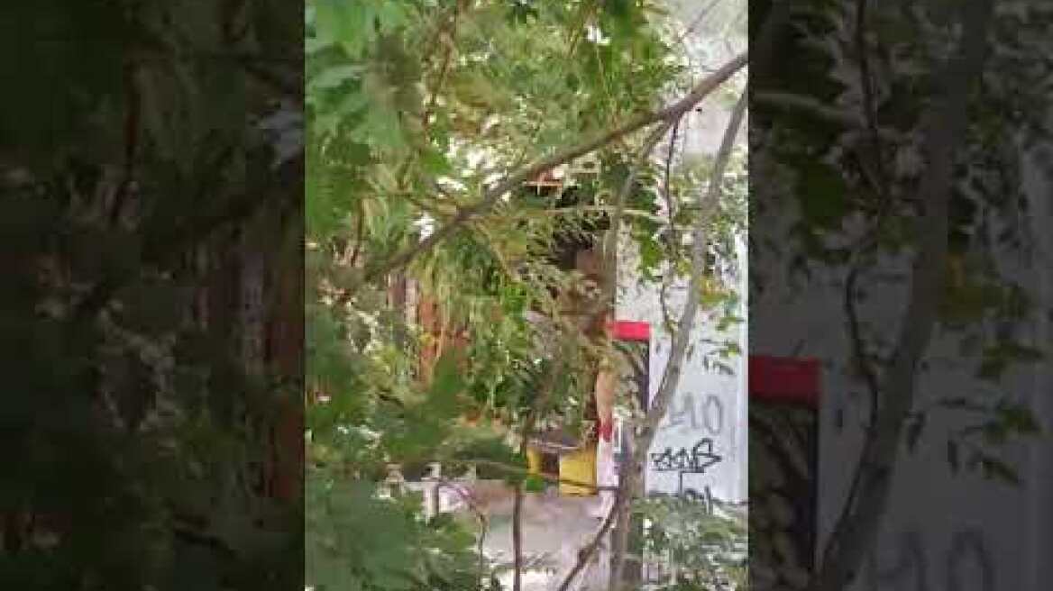 ΕΛΑΣ στα Εξάρχεια : Τσιμεντωνουν τις εισοδους