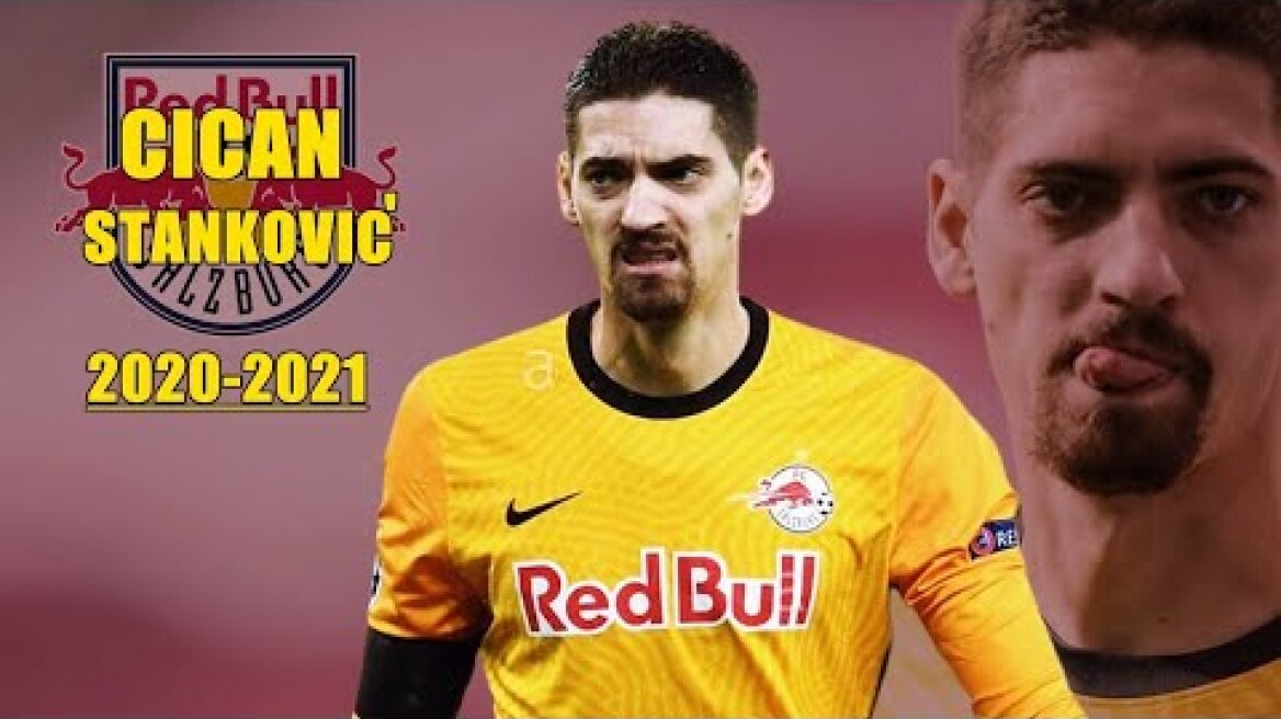 Cican Stankovic 2020/2021 ● Best Saves in Champions League | HD