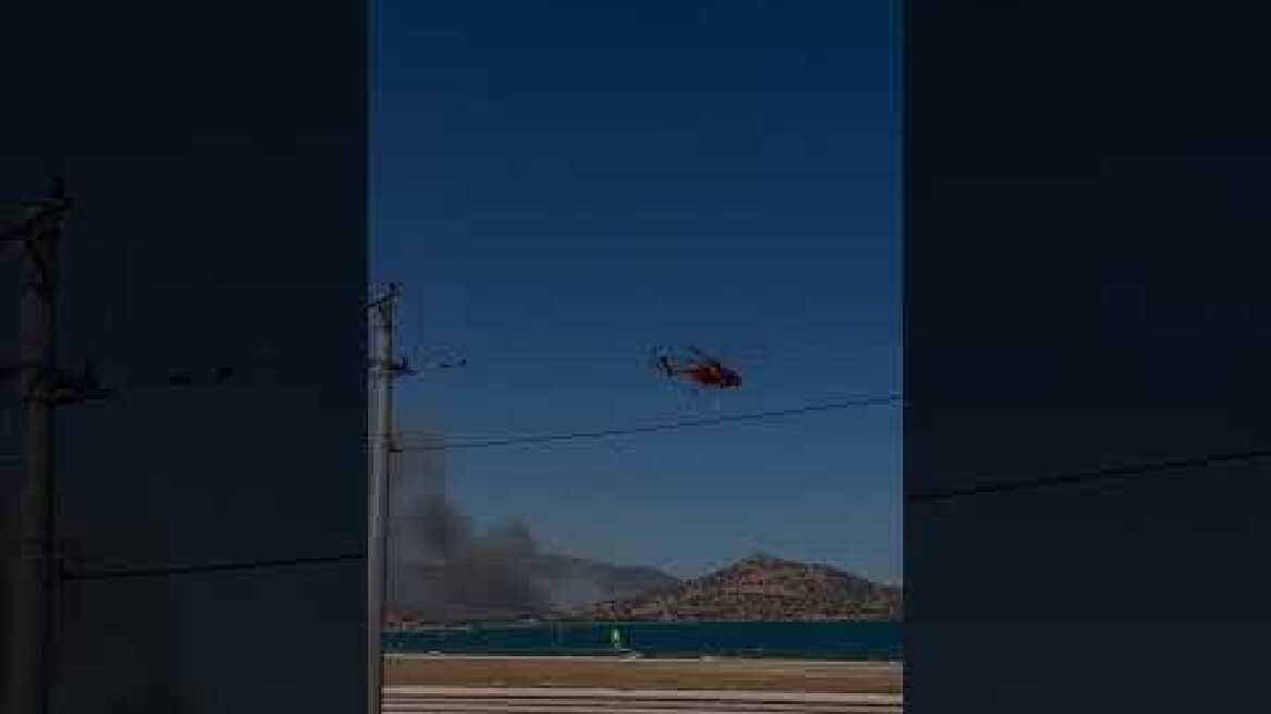 Φωτιά στη Παλιοκαμάριζα Θορικού