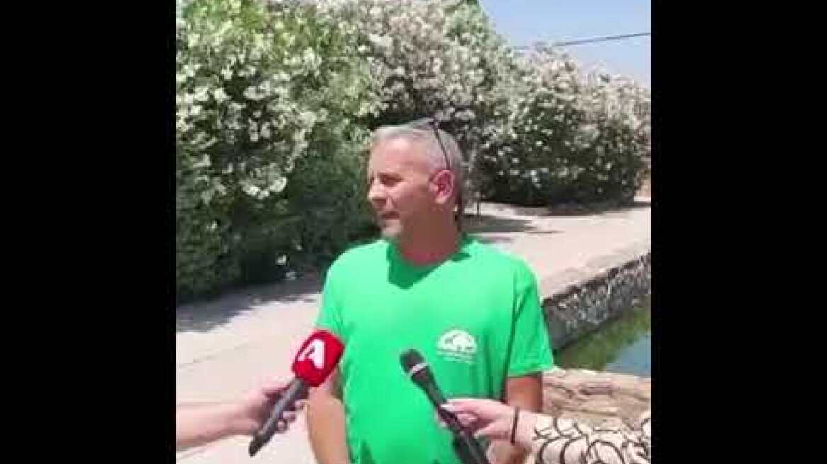 Δηλώσεις για τον χιμπατζή στο Αττικό Πάρκο (2)