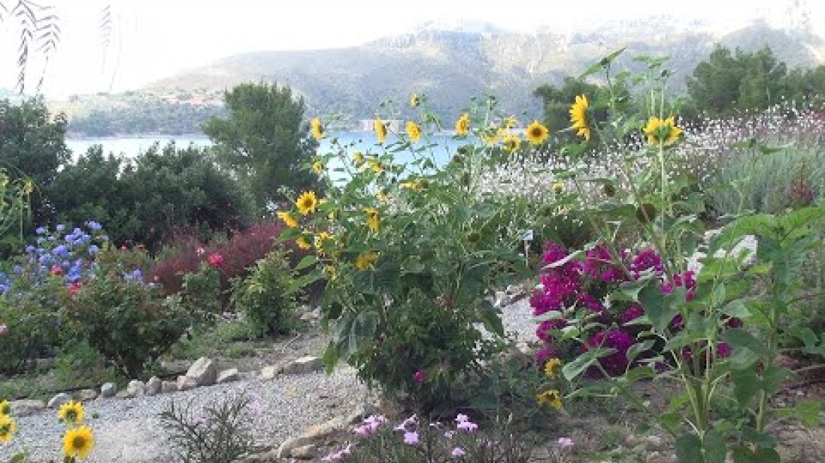 Caserma των βοτάνων