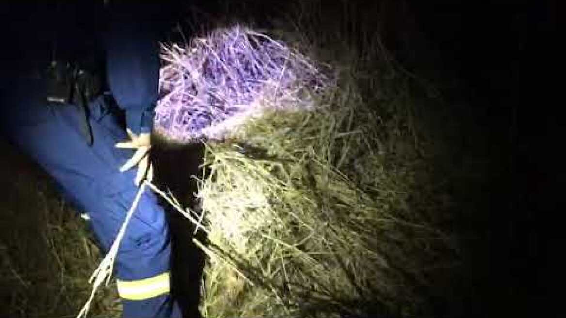 WhatsApp Video 2023 06 18 at 21 23 11