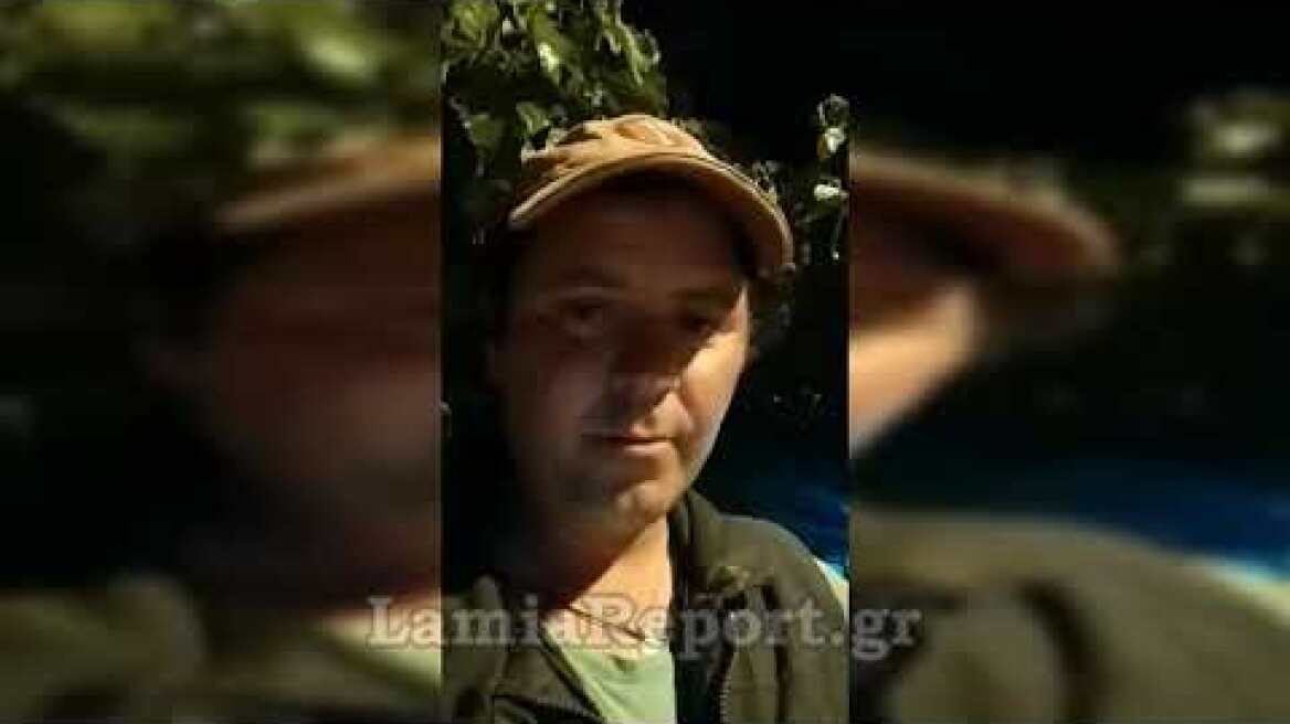 LamiaReport.gr: Οδηγοί προσοχή - Κοπάδια αγριογούρουνα στο Ζηλευτό