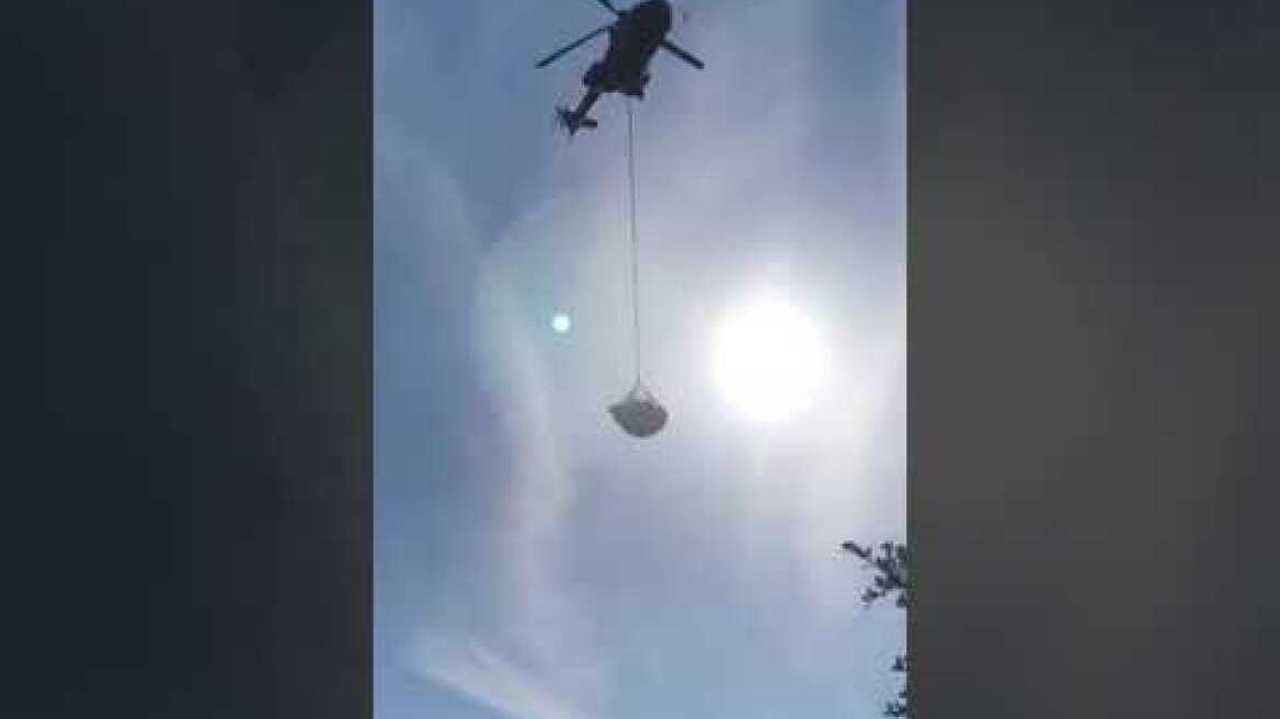 Φυτεία χασίς στην Αρκαδία (2)