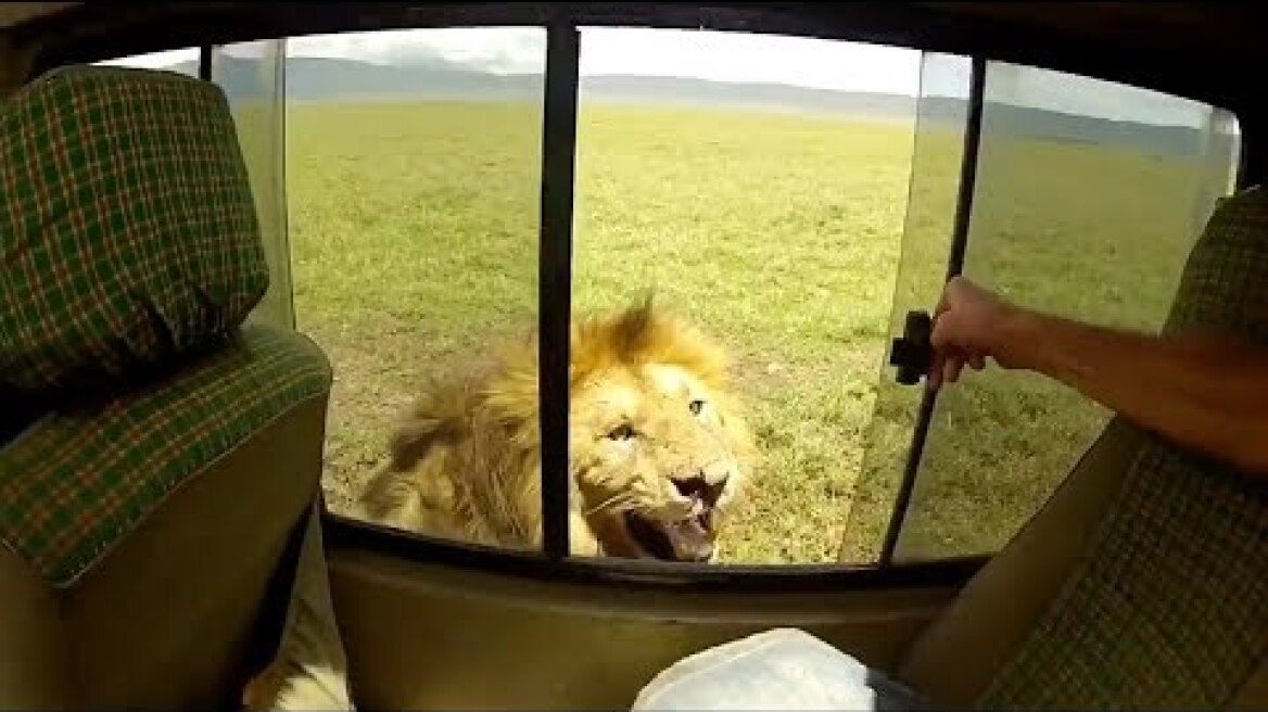 Dumbest tourist ever