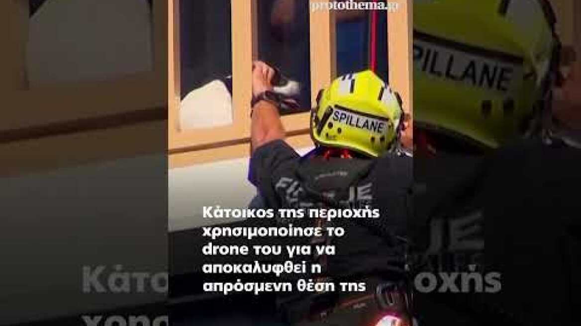 Σίδνεϊ : Δραματική διάσωση σκυλίτσας από τον 13ο όροφο πολυκατοικίας - Είχε εγκλωβιστεί για μέρες