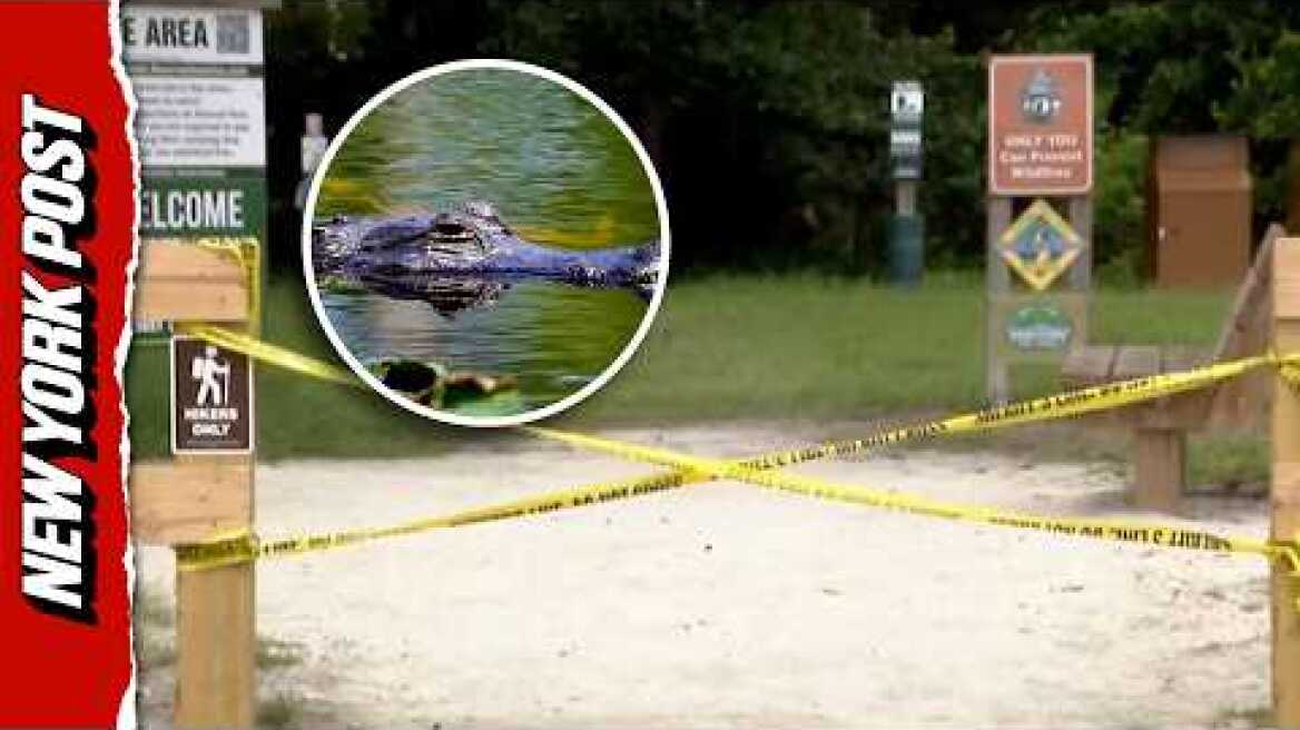 ‘Her Arm Is Completely Off’: Chilling 911 Calls Capture Response To Fatal Florida Gator Attack