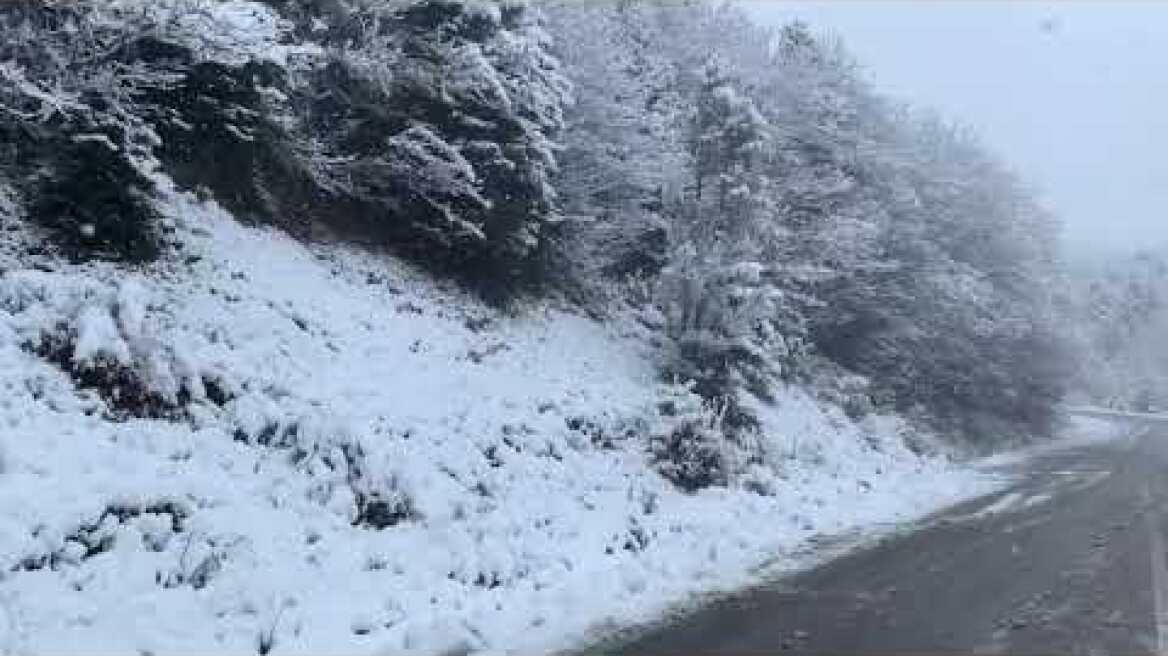 Χιόνια στη Στενή Ευβοίας