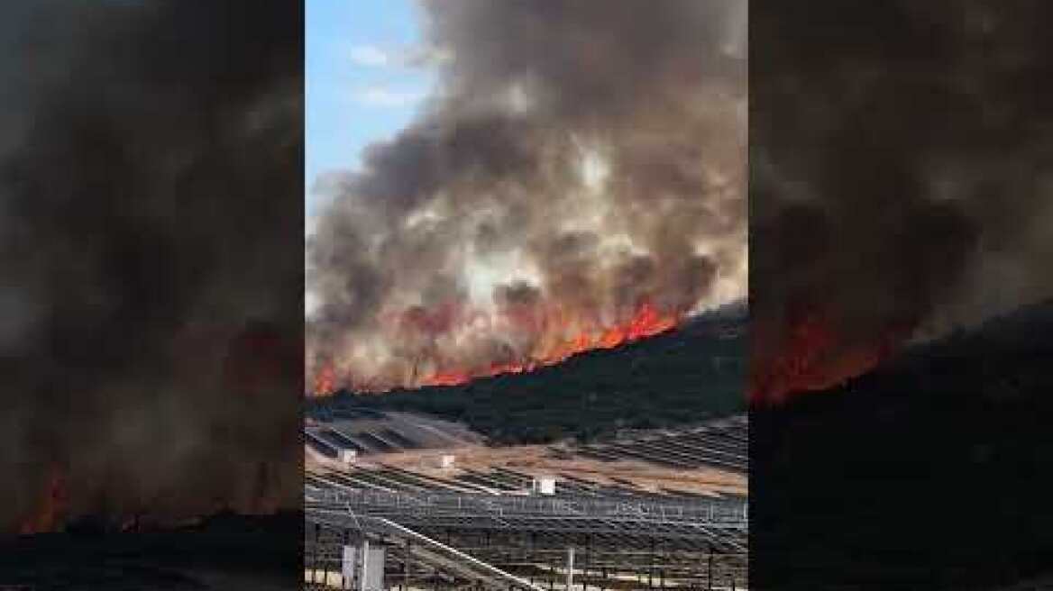 Έκτακτο: Μεγάλη πυρκαγιά ξέσπασε έξω από τη Θήβα - Σπεύδουν 8 αεροσκάφη στο σημείο