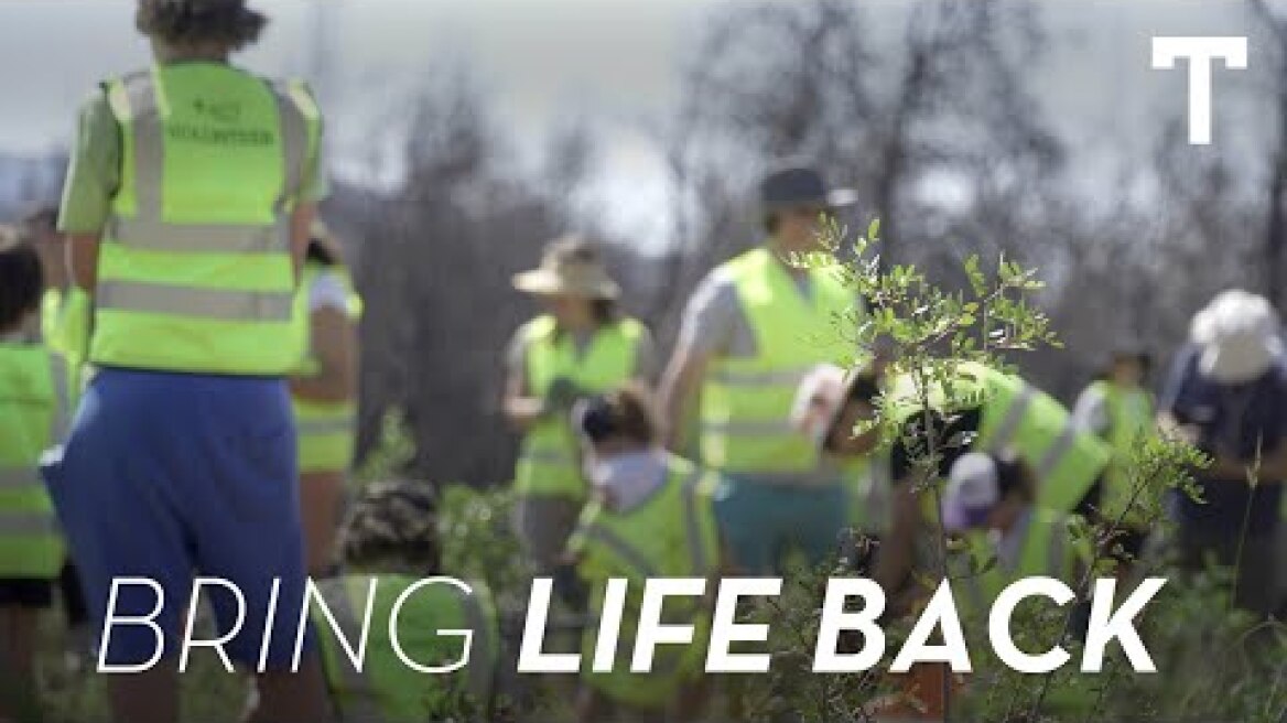 The TATOΪ Club Reforestation Project at Varibobi