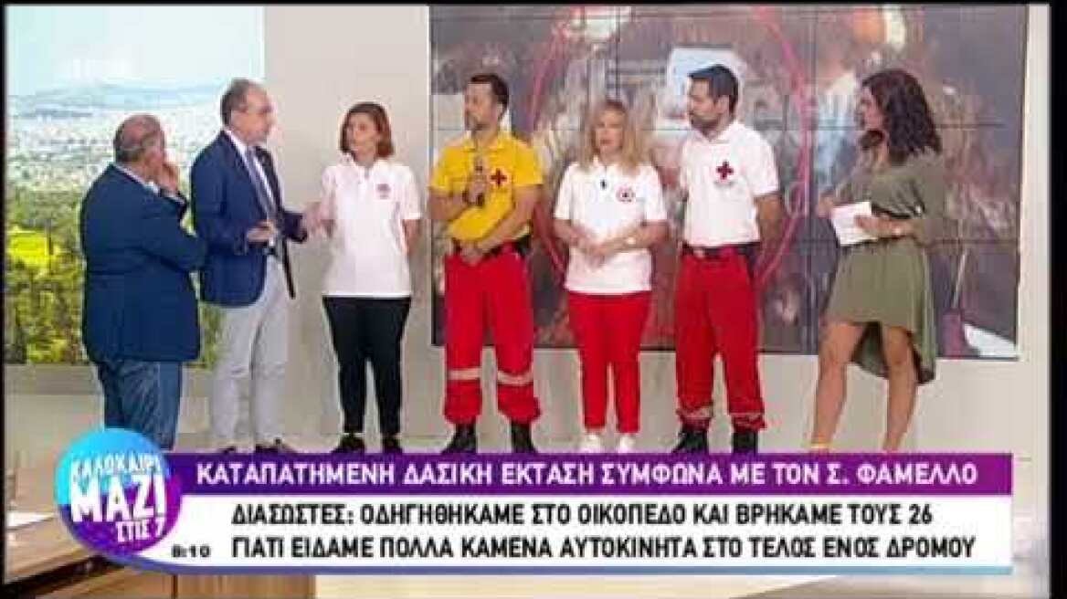 πρόεδρος ελληνικού Ερυθρού Σταυρού