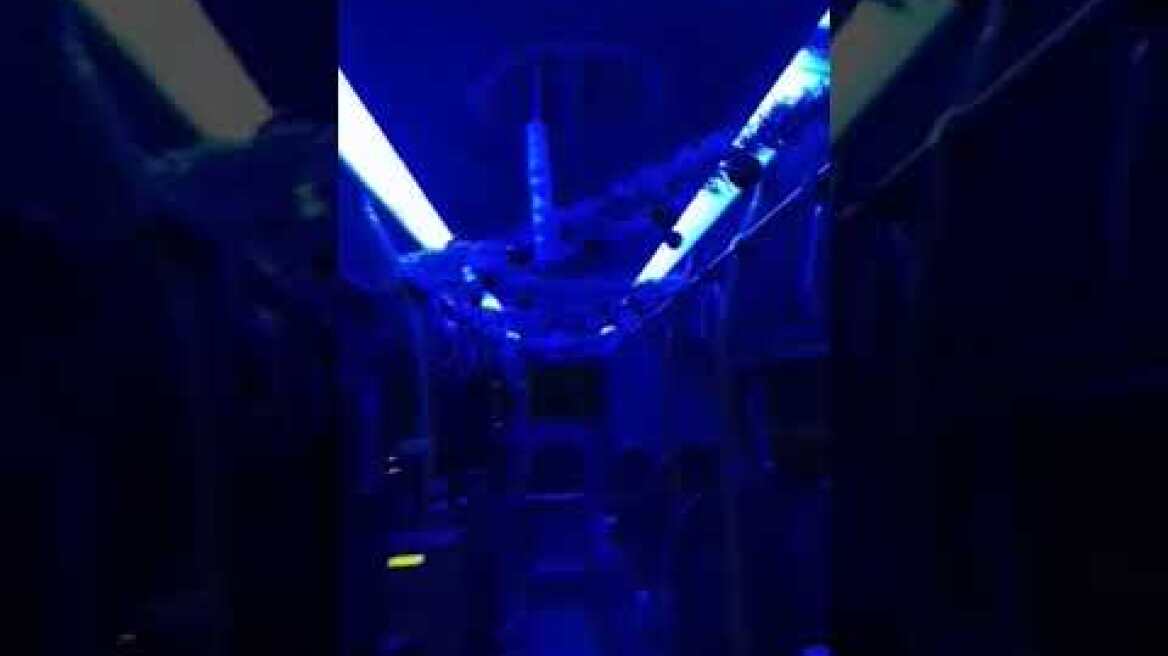 Στολισμένο λεωφορείο Θεσσαλονίκη