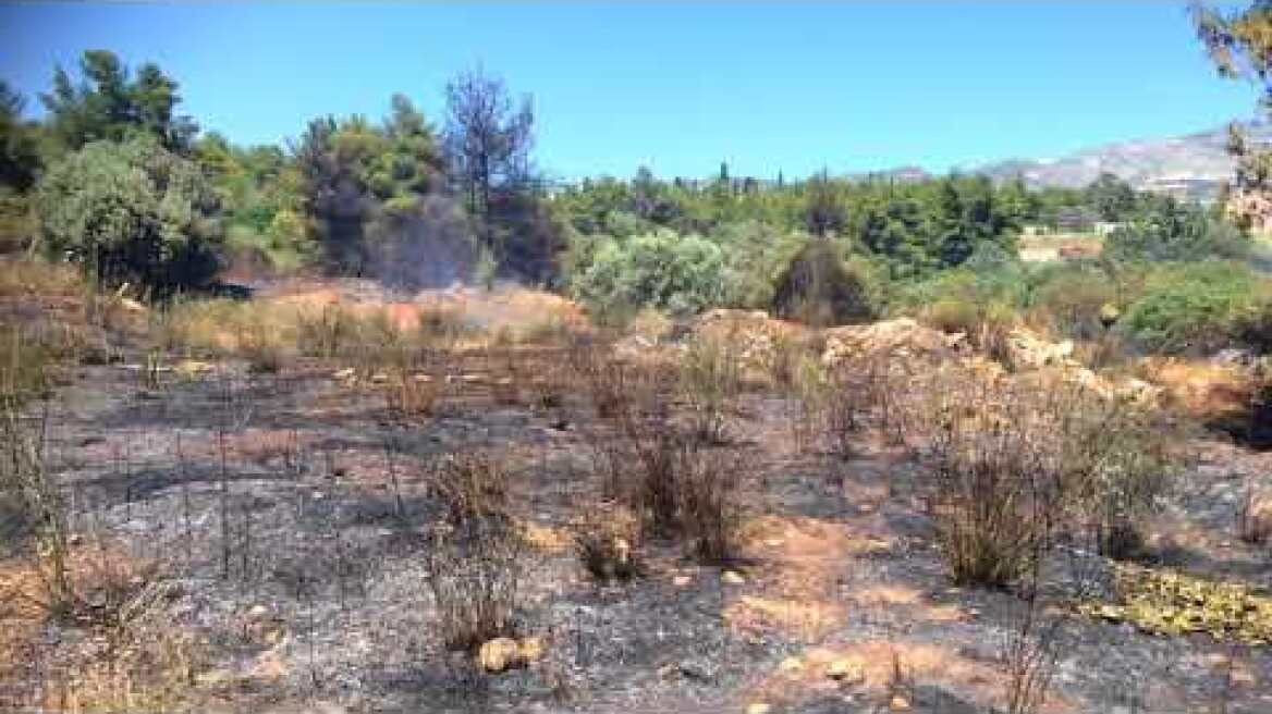 Βίντεο-πυρκαγιά στο Άλσος Συγγρού