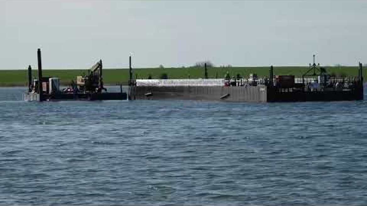 WATCH LIVE: Rescue operation for a humpback whale stranded in the Baltic Sea