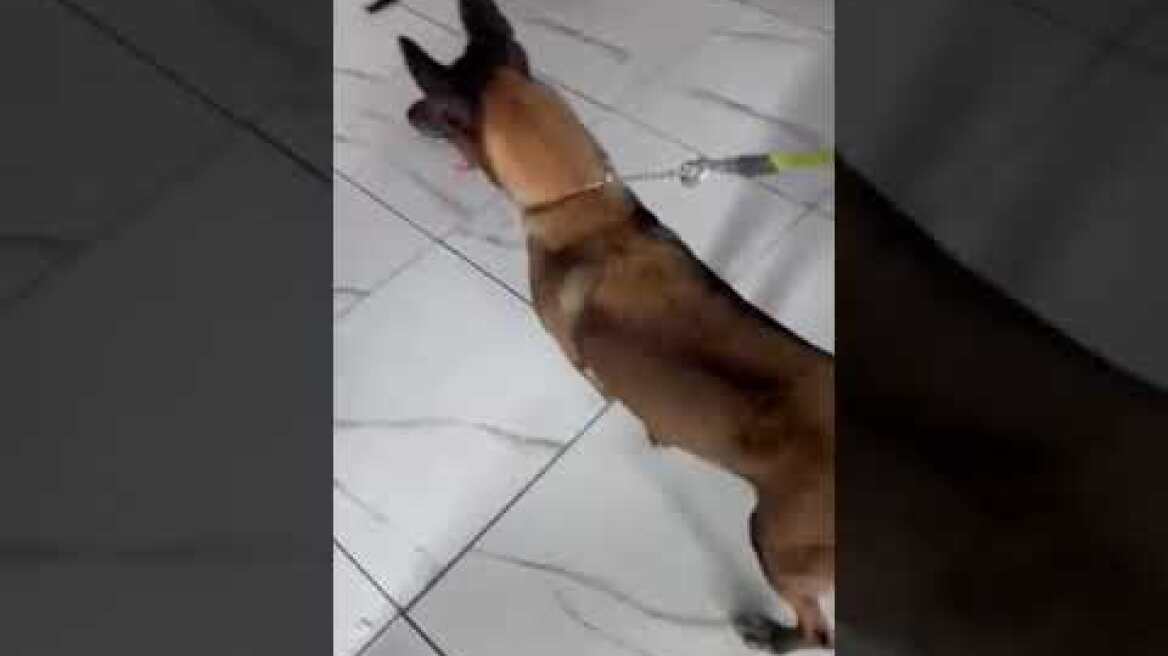 Επιχείρηση της αστυνομίασ στην Δυτική Αττική (1)