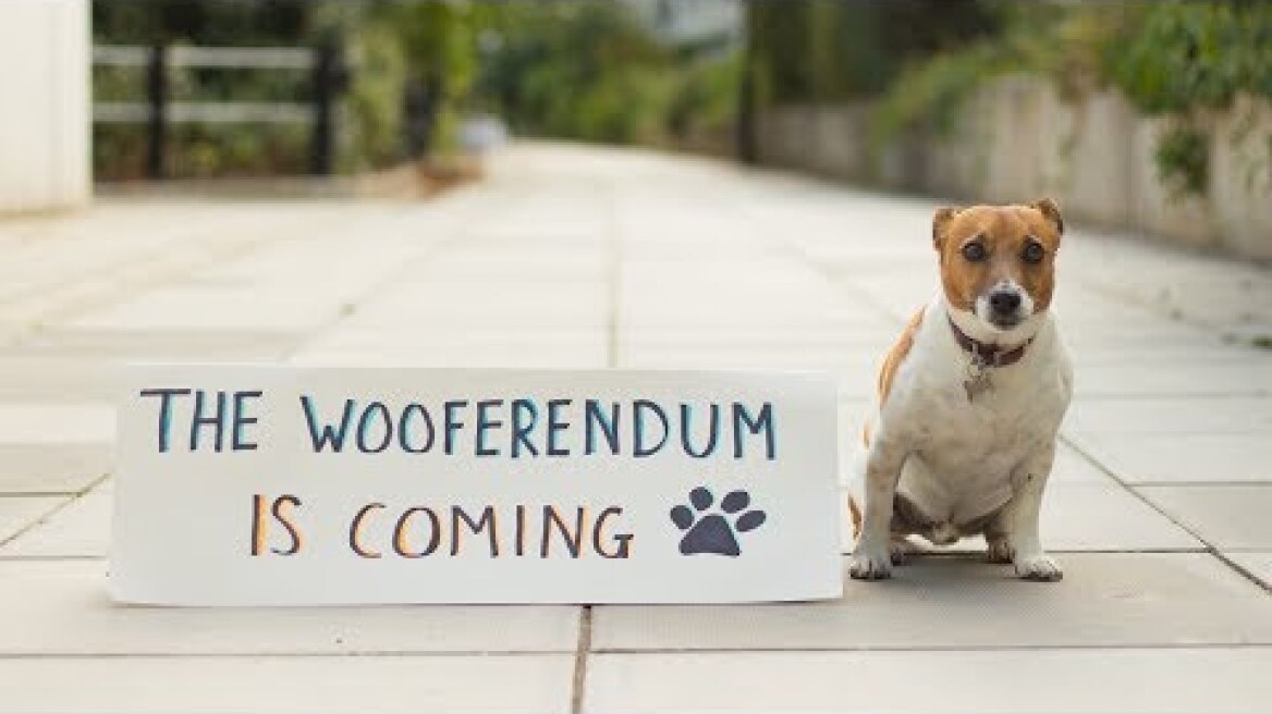 The Wooferendum Is Coming