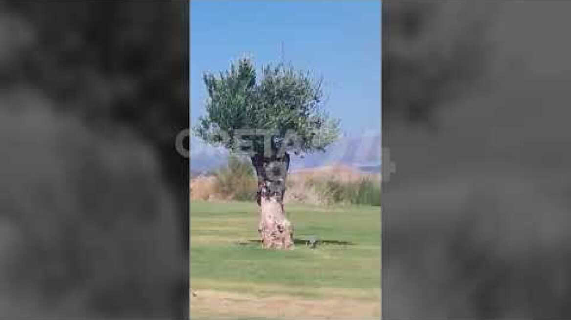 Φωτιά και ισχυροί άνεμοι στην Ιεράπετρα