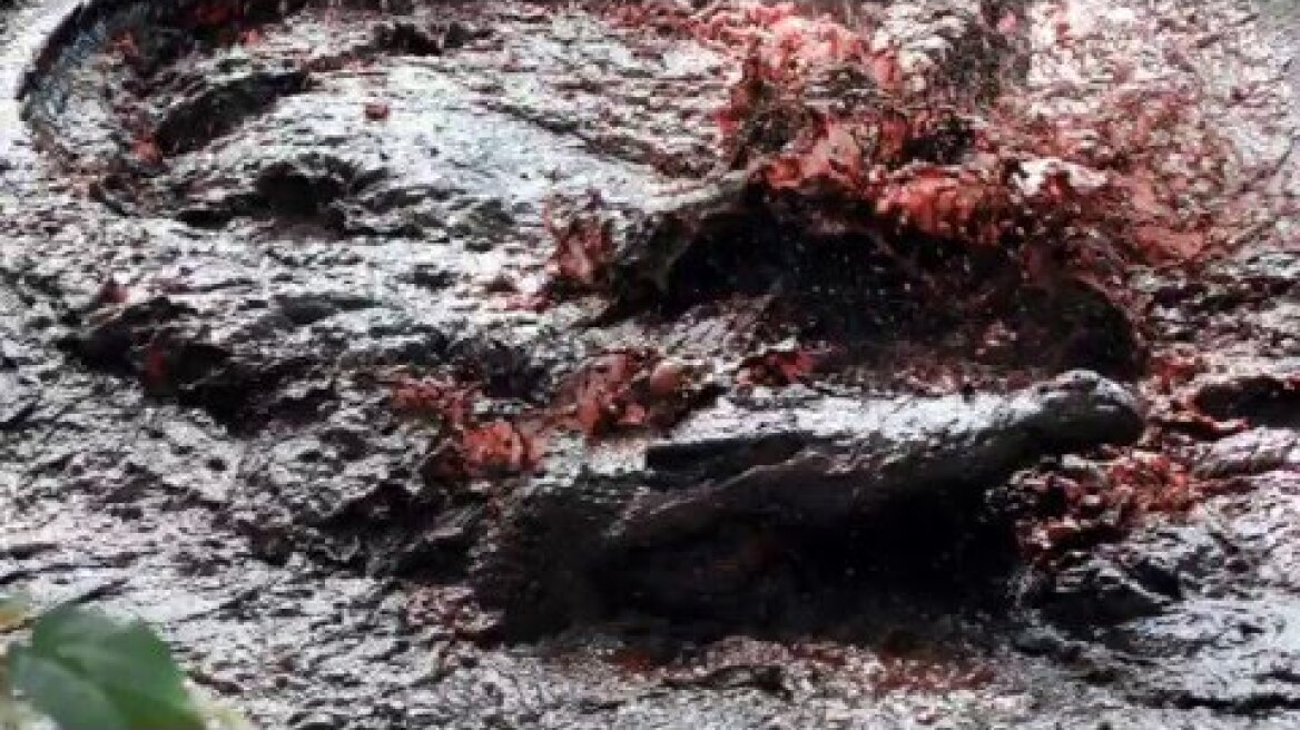 Crocodile Massacre at the Battle of Ramree Island