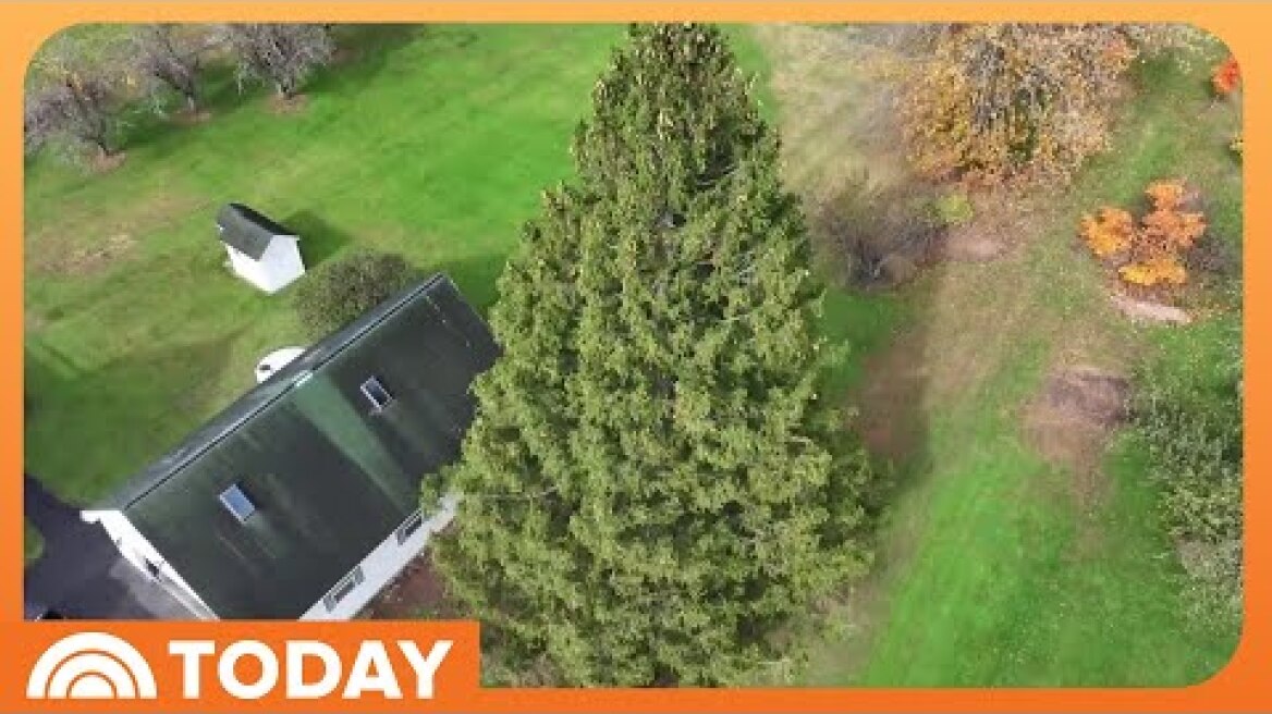 Meet the Family Donating the 2025 Rockefeller Christmas Tree