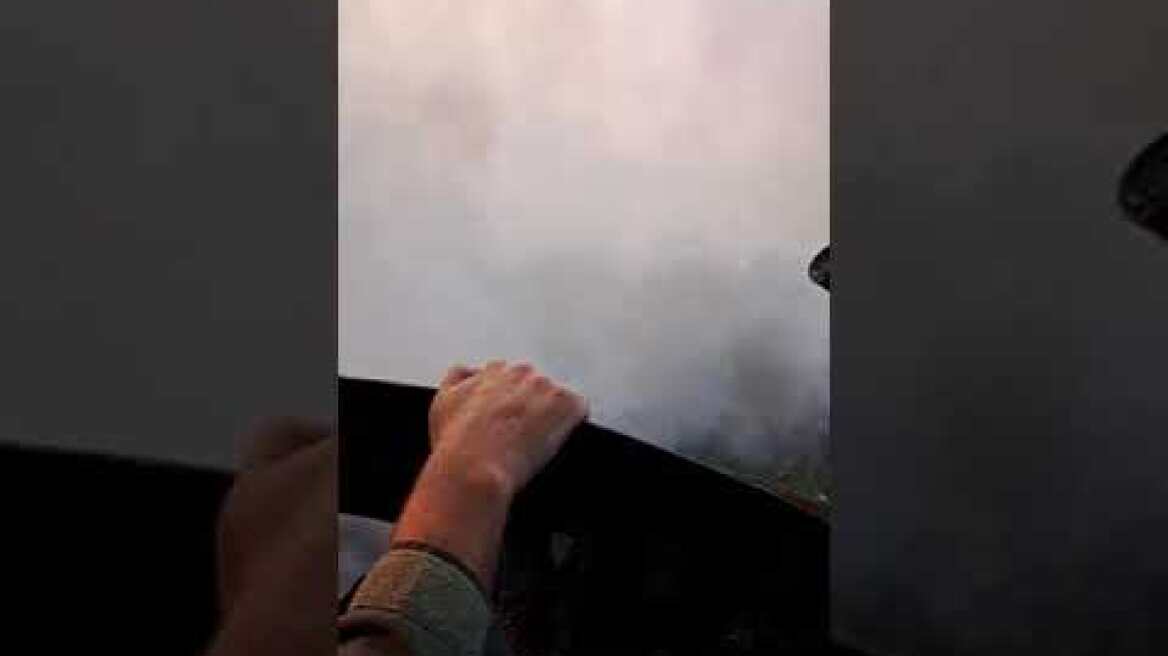 Δαδιά φωτιά