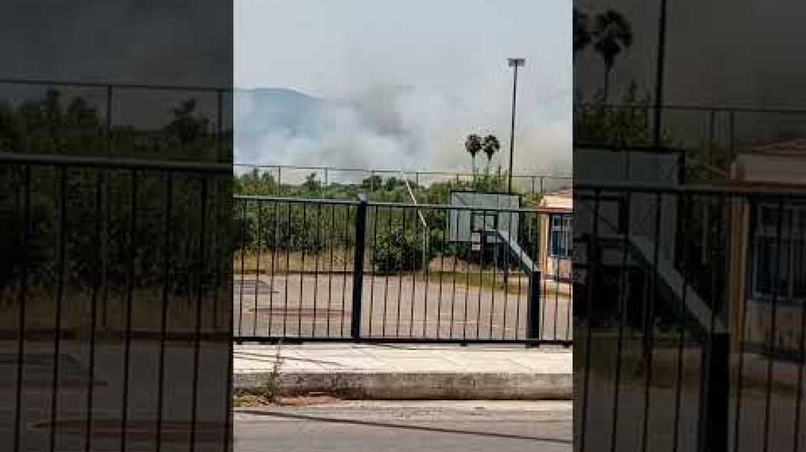 Φωτιά στο Αριοχώρι της Μεσσηνίας