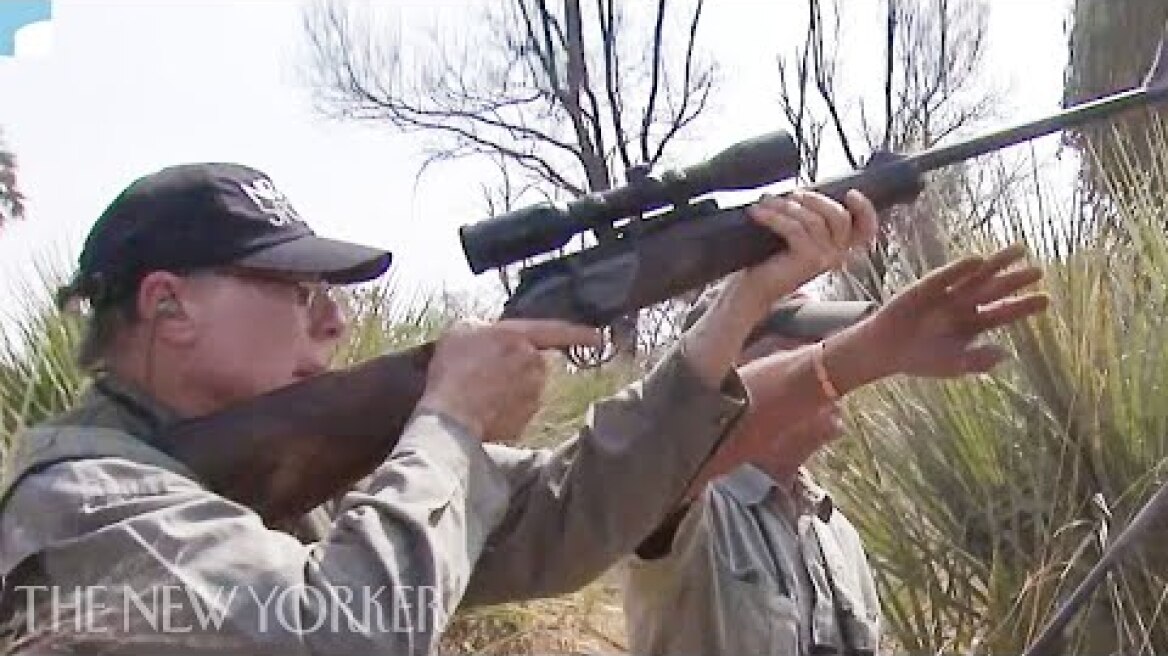 The Video of the N.R.A.’s Leader and His Wife Shooting Elephants | The New Yorker