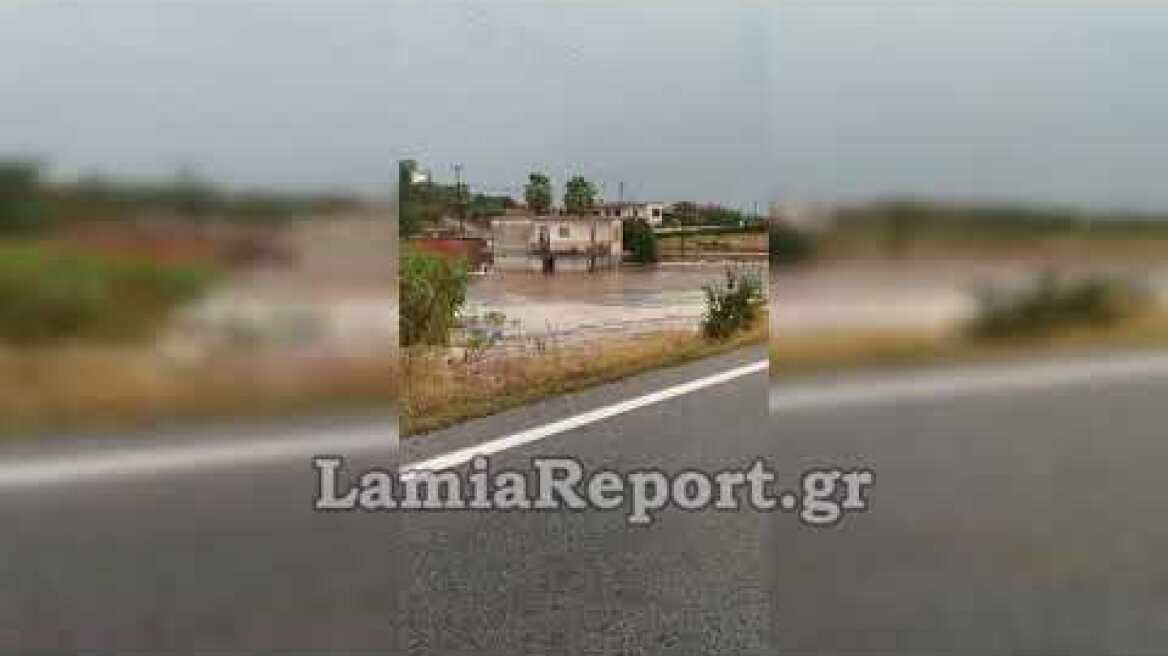 LamiaReport.gr: Βροχή Ζηλευτό