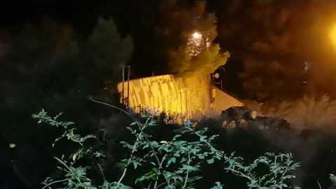 Αγριογούρουνα Θεσσαλονίκη 04-09-2023