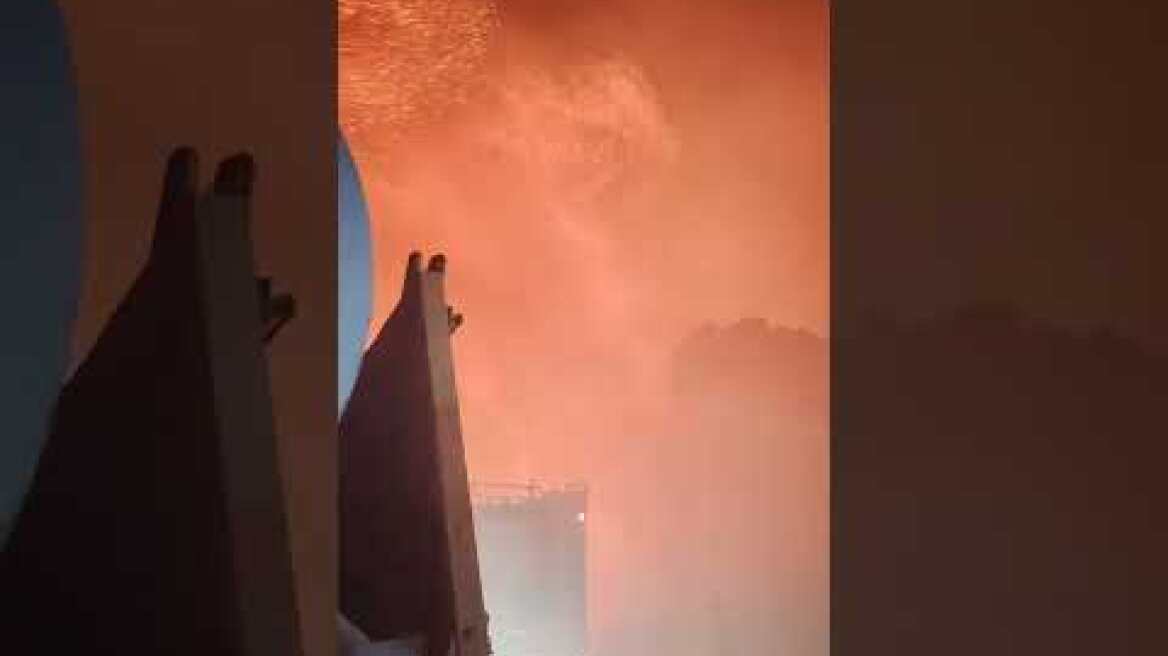 Πυρκαγιά στο Δάσος Στροφυλιάς Αχαϊας (1)