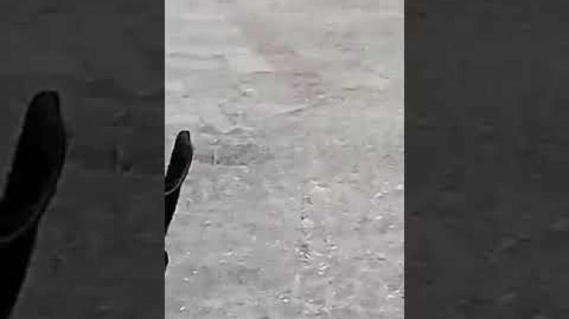ΧΑΛΑΖΙ ΚΟΖΑΝΗ