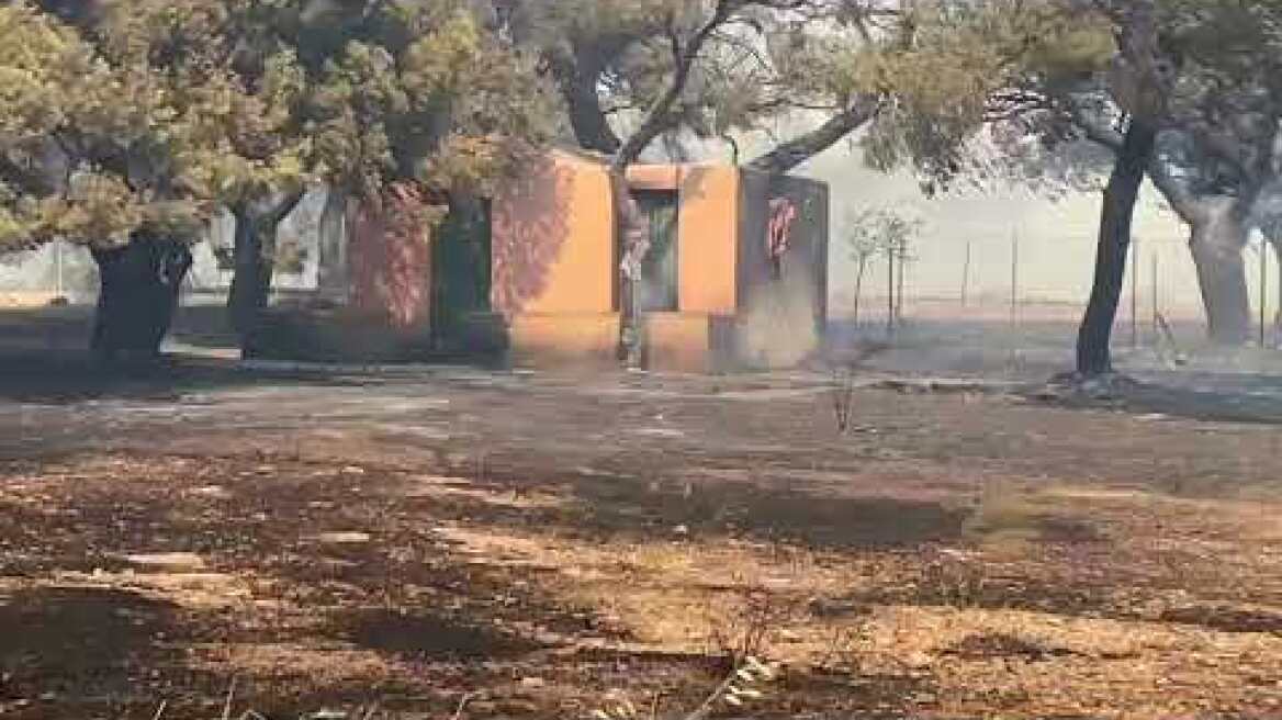 Φωτιά στο Λαγονήσι (8)