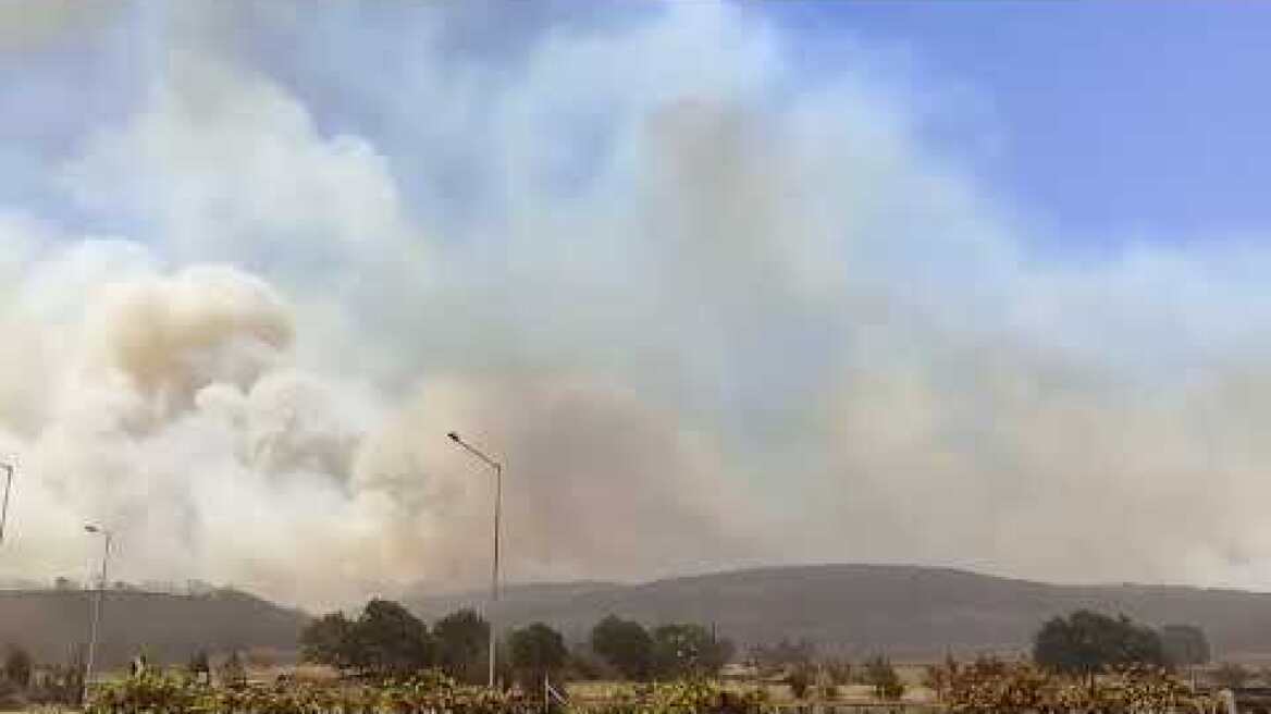 Εικόνες απο τη φωτία στον Έβρο (1)