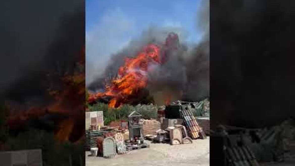 Φωτιά στη Λεωφόρο Μαραθώνος στη Ραφήνα (2)