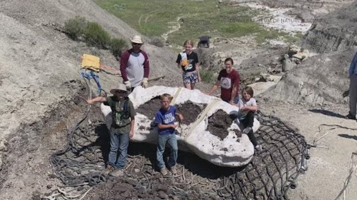 Rare T. rex fossil going on display in Colorado