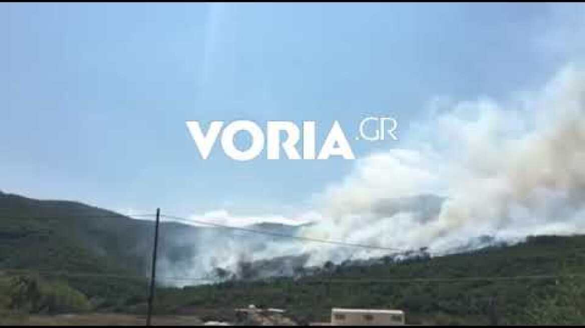 Φωτιά στο όρος Παγγαίο στην Καβάλα