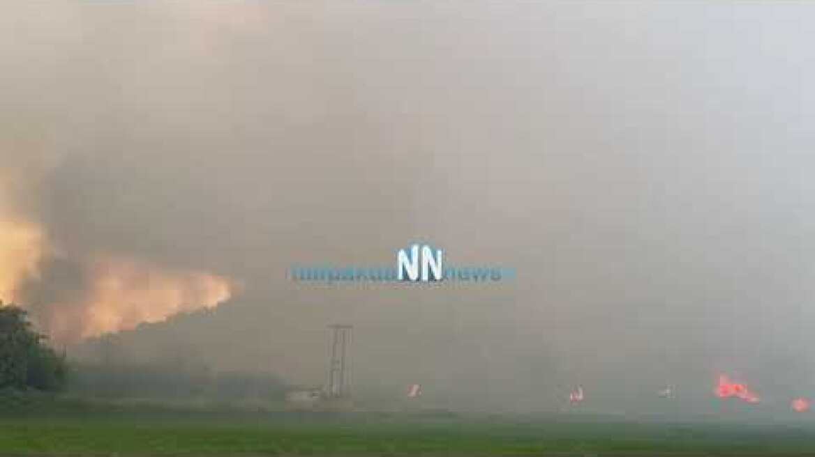 Φωτιά Τρικορφο 2