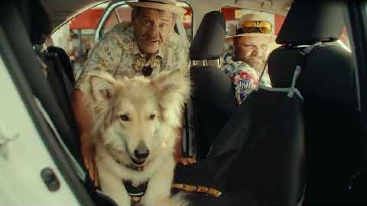 Τι λάθος έκανε ο Μάκης; Εκείνο με τη ζώνη!