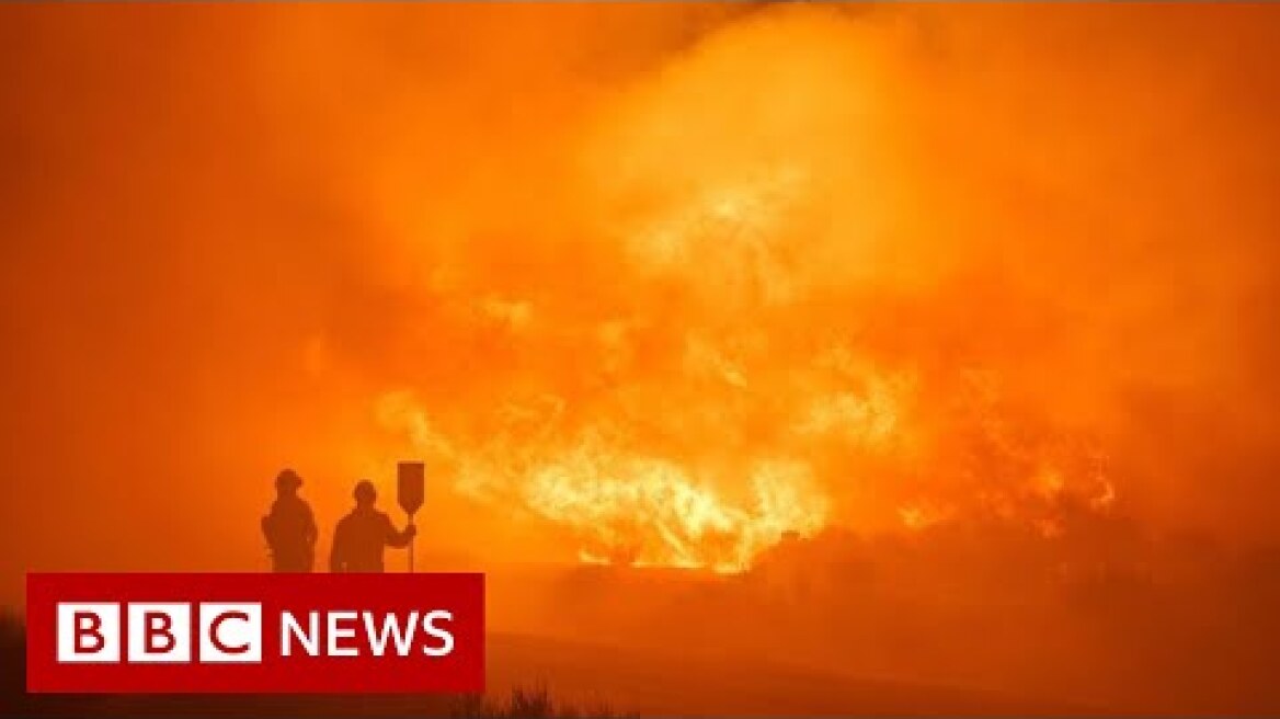 Devastating wildfires sweep through Europe  - BBC News