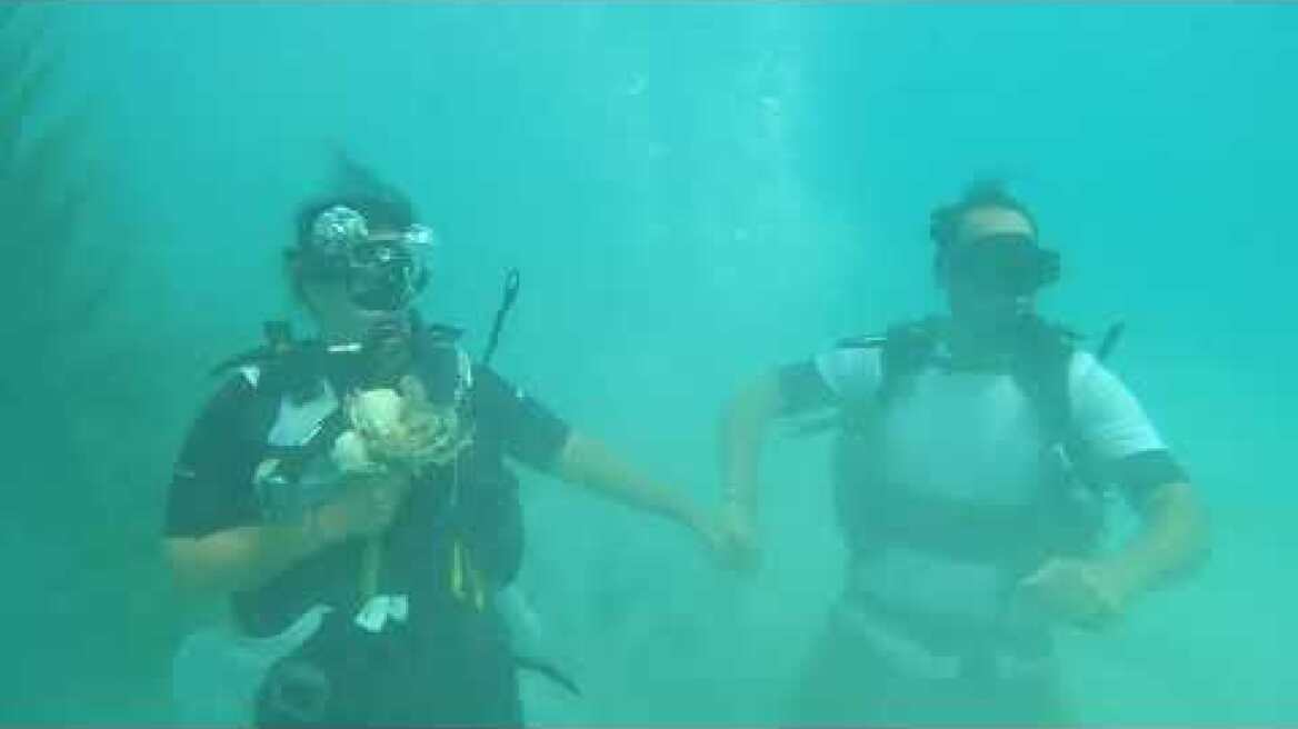 Συνεχίζονται οι υποβρύχιοι γάμοι στην Αλόννησο!