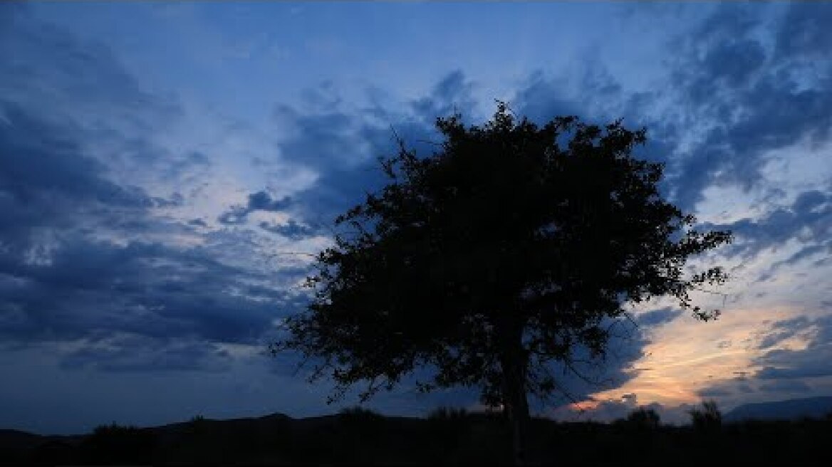 Κι Αν Έσβησε Σαν Ίσκιος... | Γιώργος Νταλάρας | Official Music Video