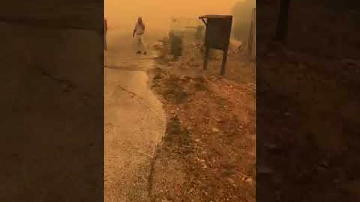 Φωτιά Καλύβια 4