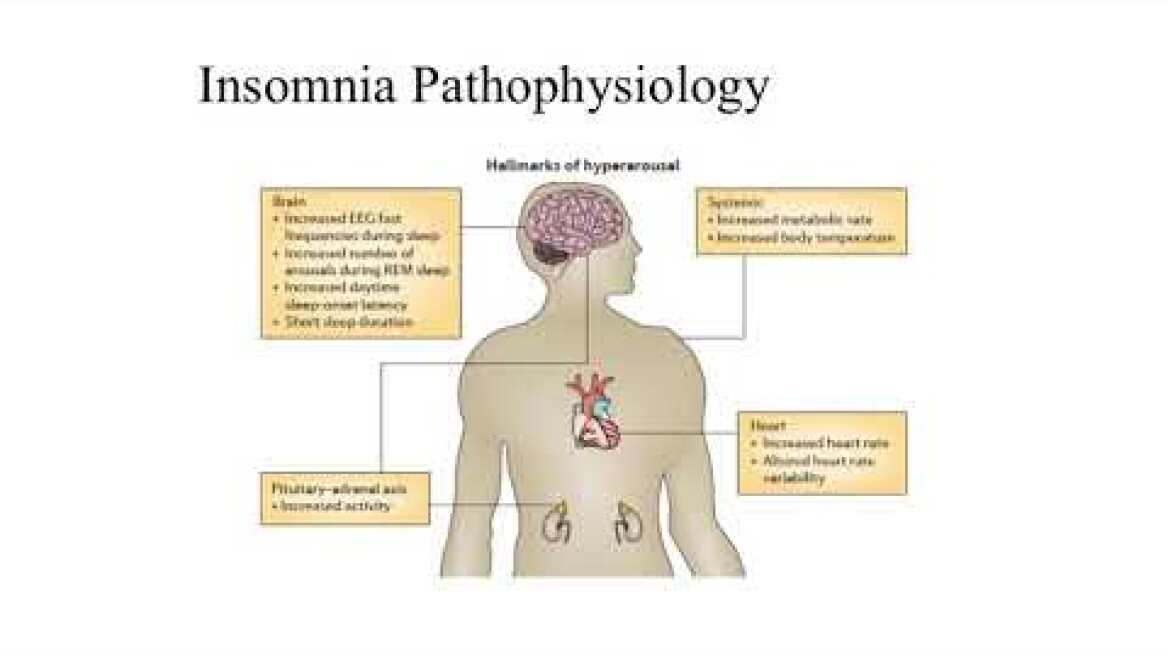 Insomnia Pathophysiology