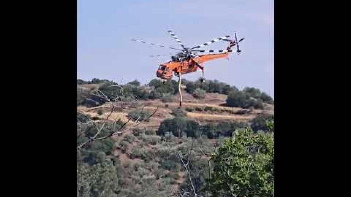 Φωτιά στη Αργολίδα