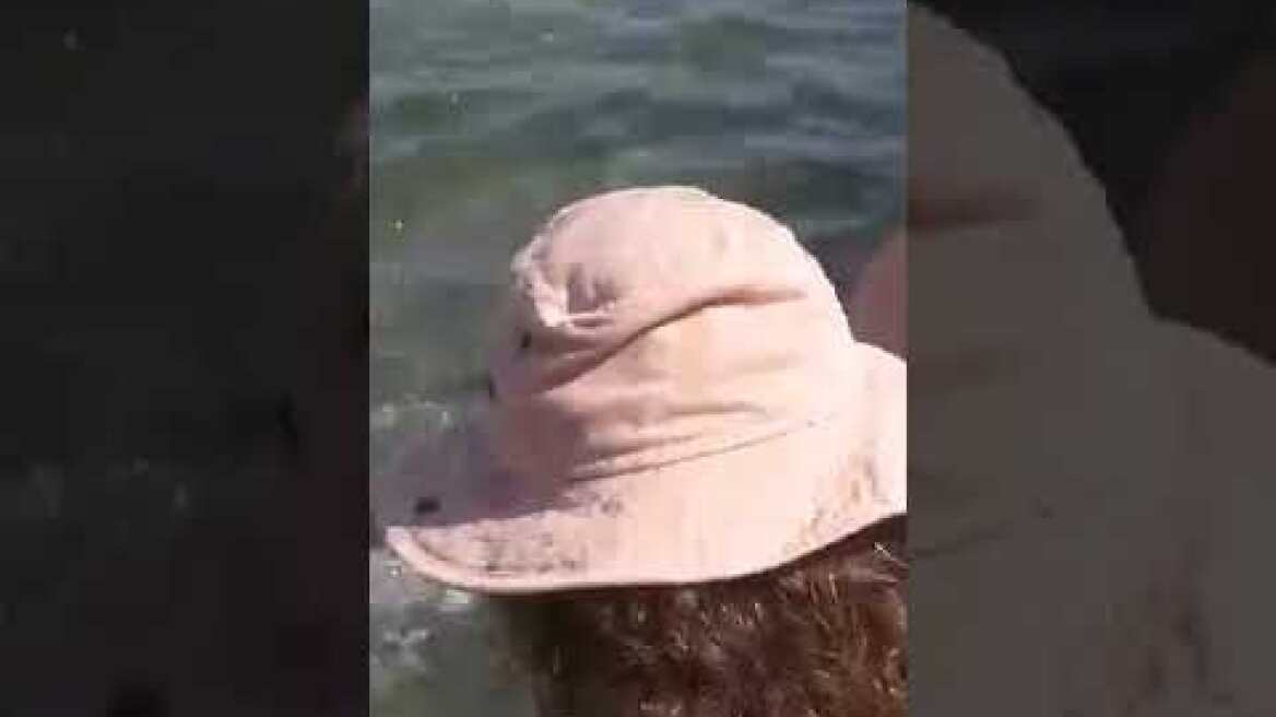 EviaZoom.gr - Χαλκίδα: Ξιφίας βγήκε στα ρηχά στη Πλαζ Αστέρια